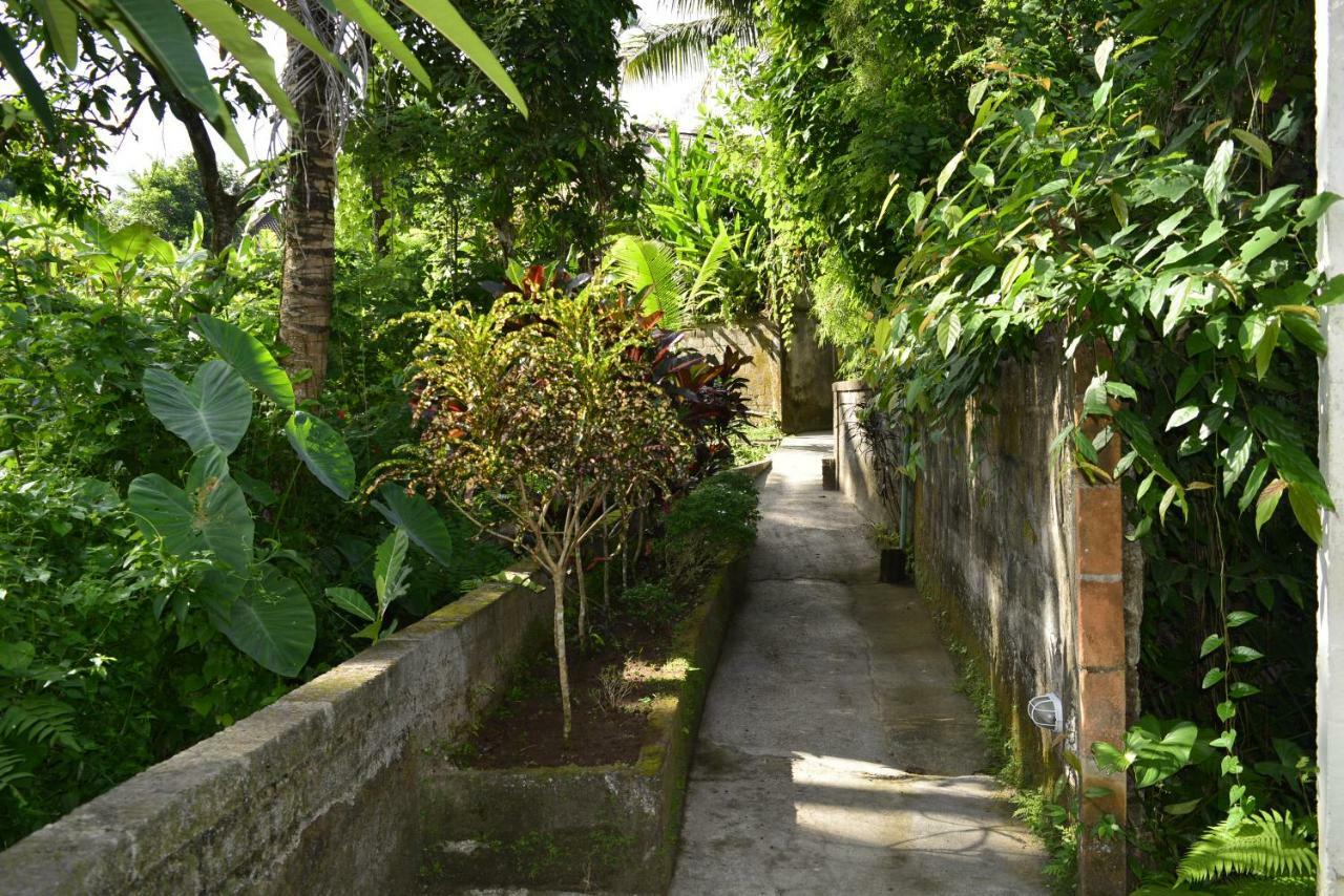 Villa Bindi Ubud Eksteriør bilde